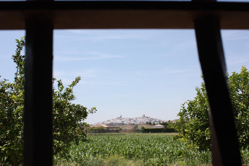 Hostal Rural La Plata Parking Incluido Arcos de la Frontera Exteriör bild